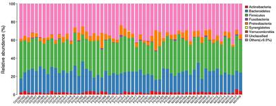 Metagenome of Gut Microbiota of Children With Nonalcoholic Fatty Liver Disease